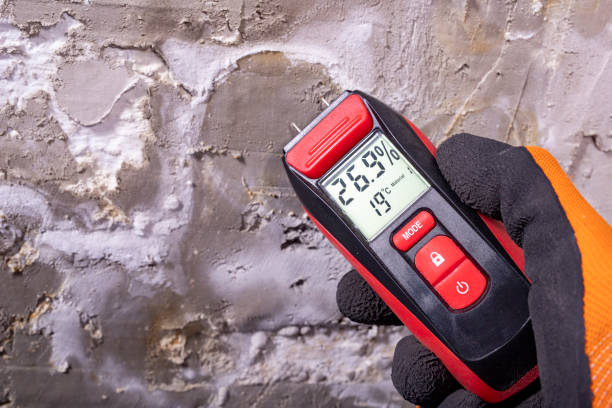 Trusted Lambertville, MI Mold Removal Experts