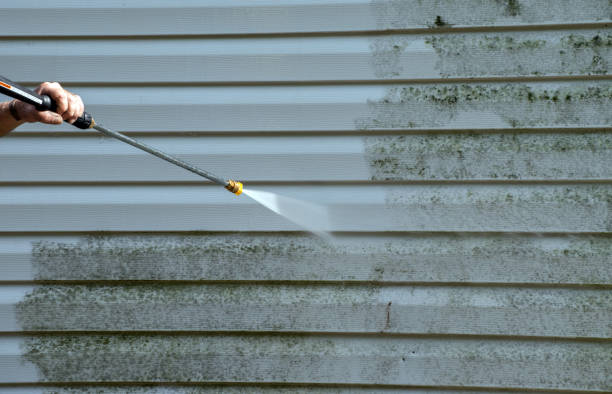 Best Mold Damage Repair  in Lambertville, MI